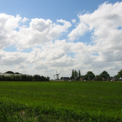 Rijksdienst voor het Cultureel Erfgoed: Terpstra, Frank