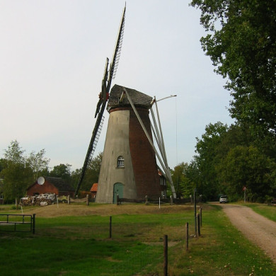 Rijksdienst voor het Cultureel Erfgoed: Terpstra, Frank
