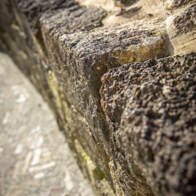 Rijksdienst voor het Cultureel Erfgoed: Sar, Wouter van der