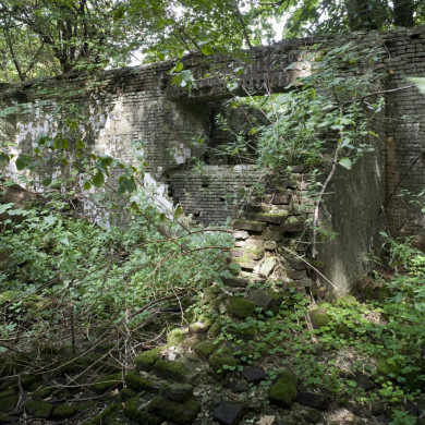 Rijksdienst voor het Cultureel Erfgoed: Booms, C.S. (Chris)