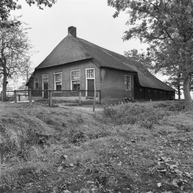 Rijksdienst voor het Cultureel Erfgoed: Schollen, A.H.C.