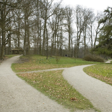 Rijksdienst voor het Cultureel Erfgoed: Galen, Jan van