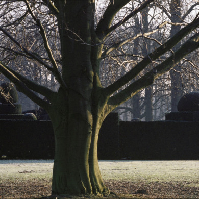 Rijksdienst voor het Cultureel Erfgoed: Heuff M. (Marijke)