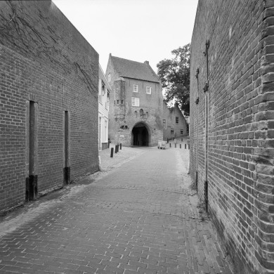 Rijksdienst voor het Cultureel Erfgoed: Heins, IJ.Th.