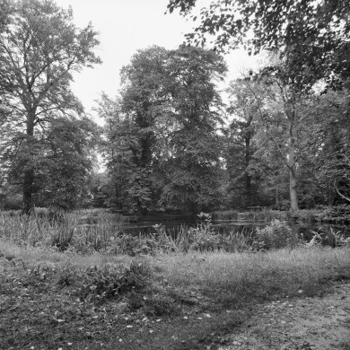 Rijksdienst voor het Cultureel Erfgoed: Wal, A.J. van der