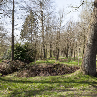 Rijksdienst voor het Cultureel Erfgoed: Sar, Wouter van der