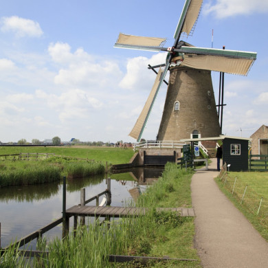 Rijksdienst voor het Cultureel Erfgoed: Jong, Nanette de