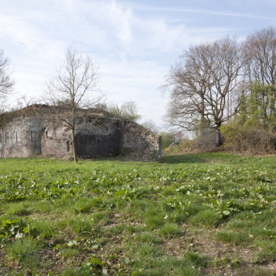 Rijksdienst voor het Cultureel Erfgoed: Booms, C.S. (Chris)-Galen, P. (Paul) van