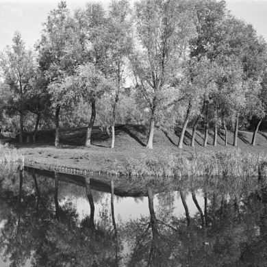 Rijksdienst voor het Cultureel Erfgoed: Tangel, L.M.
