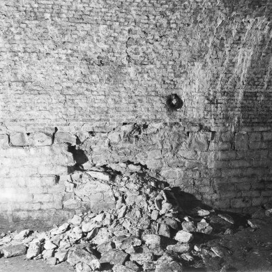 Rijksdienst voor het Cultureel Erfgoed: Delemarre, G.Th.