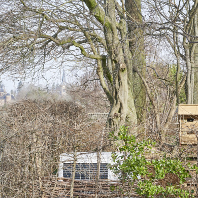 Rijksdienst voor het Cultureel Erfgoed: Technau, Sergé