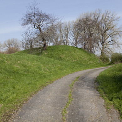 Rijksdienst voor het Cultureel Erfgoed: Booms, C.S. (Chris)-Galen, P. (Paul) van