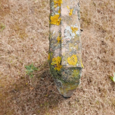 Rijksdienst voor het Cultureel Erfgoed: Dolfin, M. en Erkelens, M.