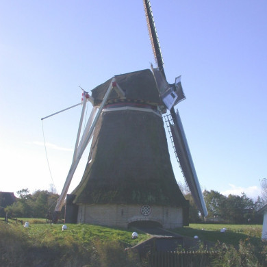 Rijksdienst voor het Cultureel Erfgoed: Terpstra, Frank