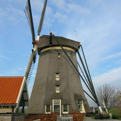 Rijksdienst voor het Cultureel Erfgoed: Terpstra, Frank