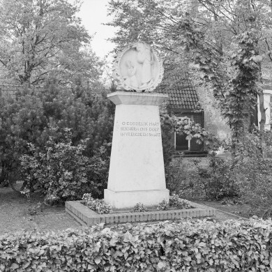 Rijksdienst voor het Cultureel Erfgoed: Roderburg, K. (Kris)