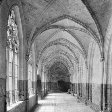 Rijksdienst voor het Cultureel Erfgoed