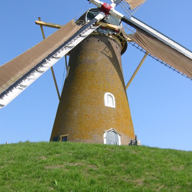 Rijksdienst voor het Cultureel Erfgoed: Terpstra, Frank