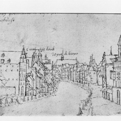 Rijksdienst voor het Cultureel Erfgoed: Delemarre, G.Th.