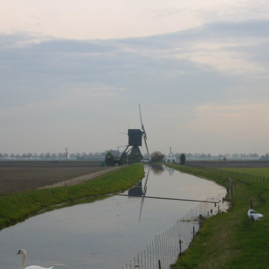 Rijksdienst voor het Cultureel Erfgoed: Terpstra, Frank
