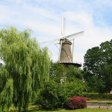 Rijksdienst voor het Cultureel Erfgoed: Terpstra, Frank