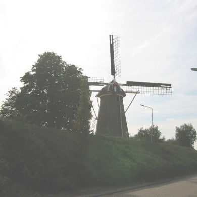 Rijksdienst voor het Cultureel Erfgoed: Terpstra, Frank