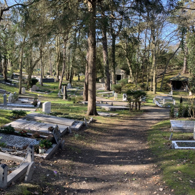 Rijksdienst voor het Cultureel Erfgoed: Bogers, Guido