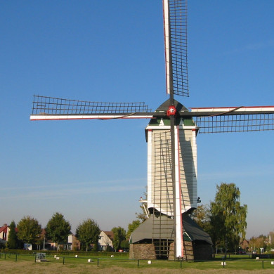 Rijksdienst voor het Cultureel Erfgoed: Terpstra, Frank