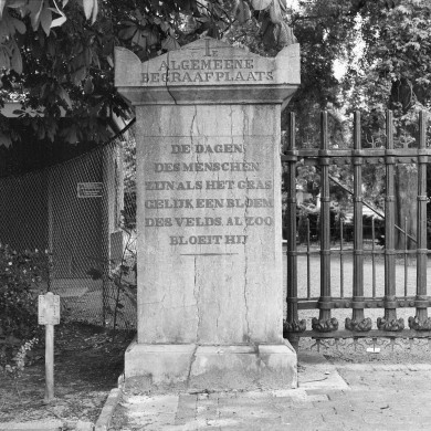 Rijksdienst voor het Cultureel Erfgoed: Schollen, A.H.C.