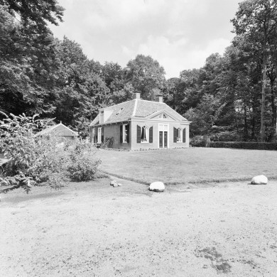 Rijksdienst voor het Cultureel Erfgoed: Heins, IJ.Th.