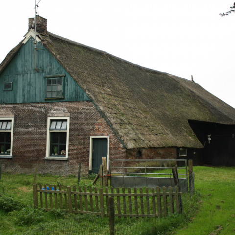 Boerderij in Havelte