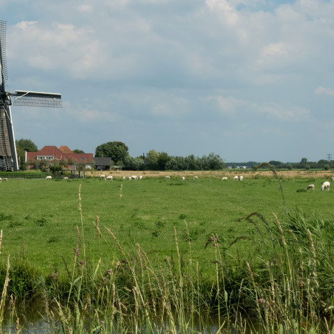 Uitgeest, de Tweede Broekermolen - Michielverbeek