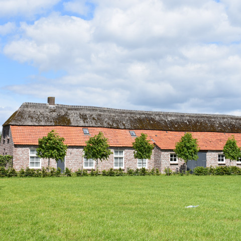 De_Hoef_19,_Hoogeloon - Rosemoon