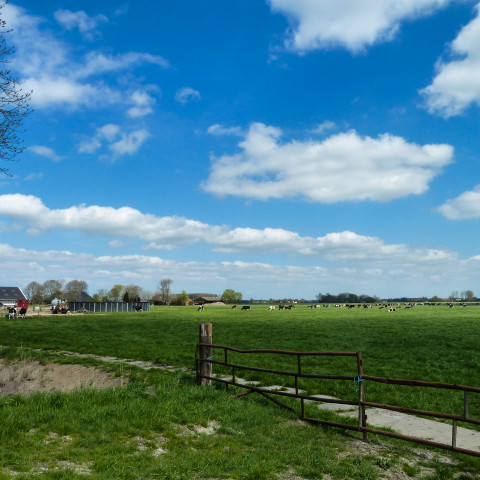 Gezicht op het landschap bij Luddeweer - Handscarf