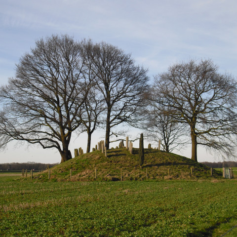 Het Jodenbergje bij Hardenberg - PeHa