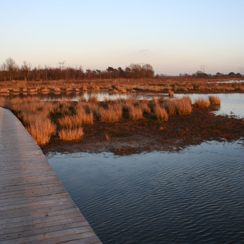 Huis ter heide leikeven - Wp Tool