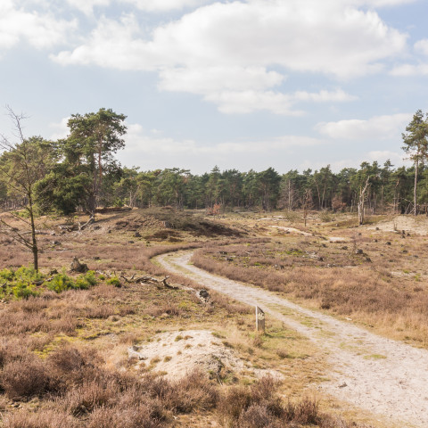 Hulshorsterzand - Agnes Monkelbaan