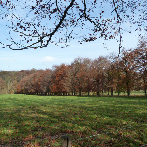 Kasteel Schaloen, Oud-Valkenburg, Limburg, Nederland - Romaine