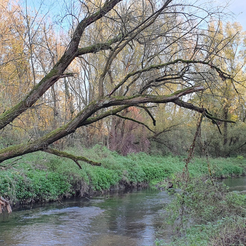 Kerkrade - Qwertzu111111