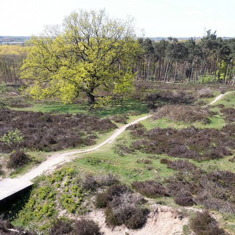 Mookerschans - Take Mirrenberg