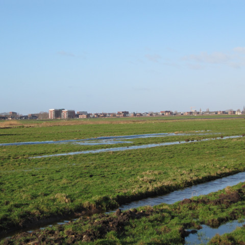 Poldergebied en zicht op Pijnacker Zuid - Michiel1972