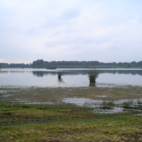 Sarsven en De Banen te Nederweert - A ansems