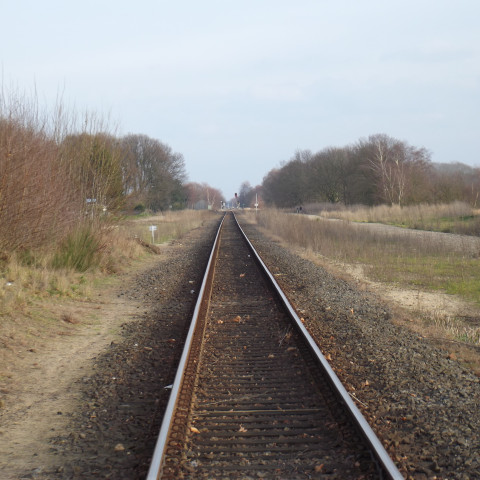 Spoorlijn Hamont, Budel gezien vanaf spoorwegovergang Budel Schoot richting Weert - Smiley.toerist