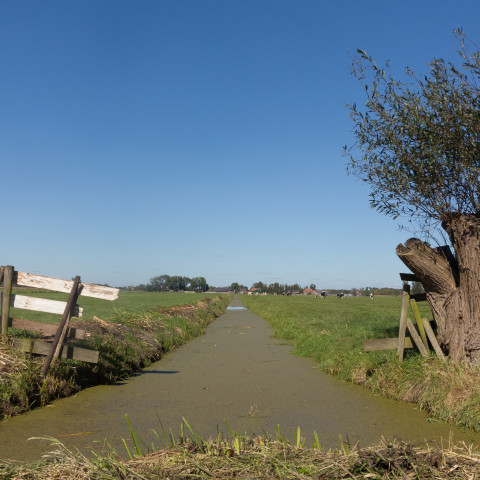 Tussen Ameide en Meerkerk, sloot in polderlandschap - Michielverbeek