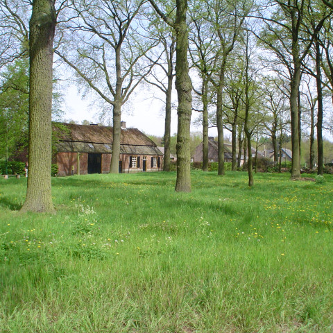 Waalre Loon - A ansems