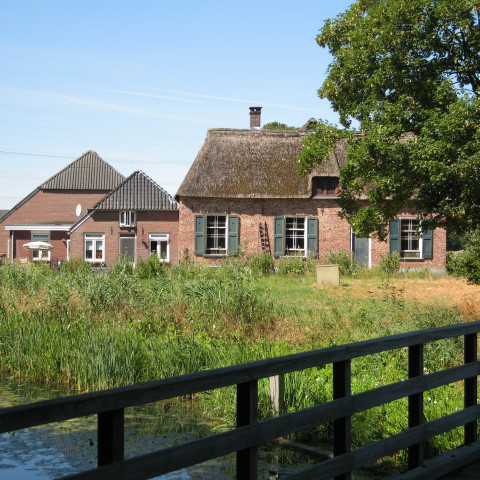 Wijnbergen kruisallee - Pim van Tend