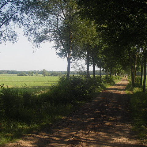 Weilanden in het Meerven - Chris Peel