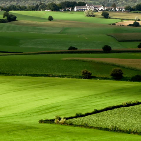 Agricultural_landscape_Mergelland - Axel Hartman