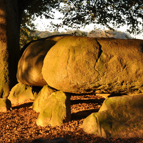 Hunebed - gemeente Borger-Odoorn.