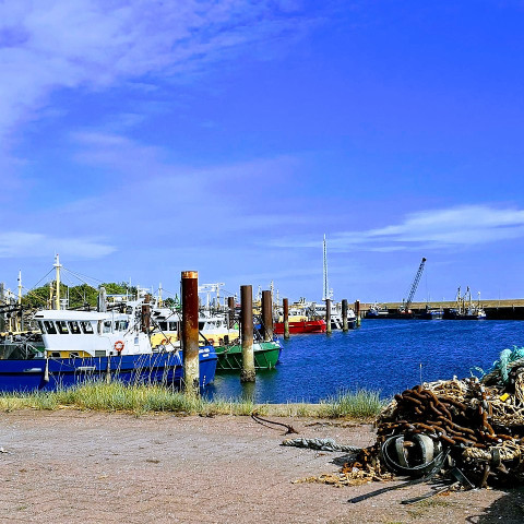 Haven van Yerseke - Wikimedia Commons - ErikRombaut